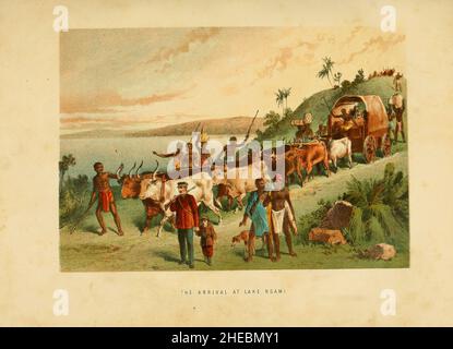 The Arrival at Lake Ngami [Lake Ngami is an endorheic lake in Botswana north of the Kalahari Desert.] from the book The life and explorations of David Livingstone, LL.D.  subtitled as The life & explorations of Dr. Livingstone, the great missionary traveller Published in London by John G. Murdoch in 1870 Stock Photo