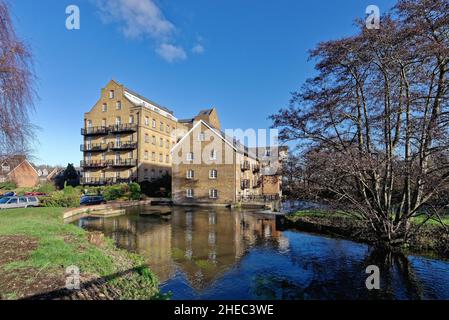 Coxes Lock Mill apartments on the River Wey Navigation canal on a sunny winters day Addlestone Surrey England UK Stock Photo