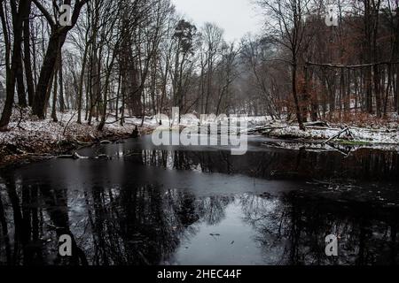 River in winter, Calm river with surface partially frozen into ice, Partially frozen surface of flowing water, thin layer of ice, Snow-covered forest Stock Photo