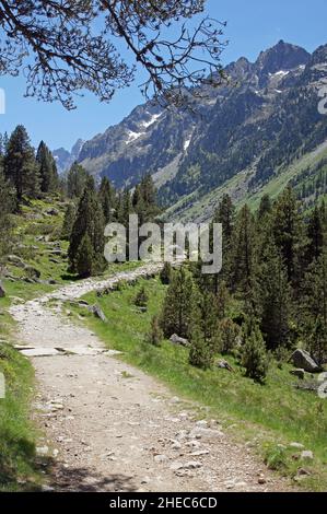 The French Pyrenees: walking the GR10 in the Vallee de Gaube Stock Photo