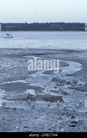 Mistley, Essex, with the River Stour at low tide Stock Photo