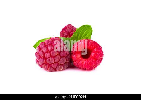 Raspberry. Ripe sweet raspberry macro image with mint leaves on white isolated background. Close up image. Stock Photo