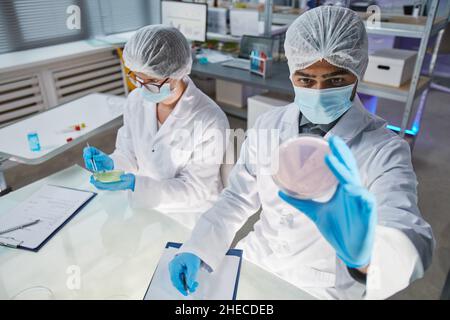 Two scientists sitting at the table together and examining sample of new virus in test tubes with colored liquid in the laboratory Stock Photo