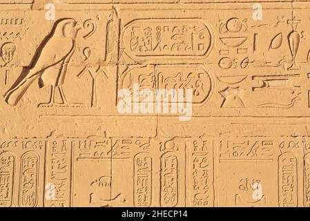 Egypt, Upper Egypt, Nile valley, Edfu, temple of Horus, bas-relief representing hieroglyphs (with cartouches of pharaohs Stock Photo