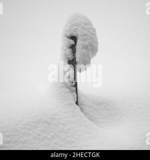 France, Nature sometimes adopts very curious forms called Pareidolia, a face of snow wrapped around a wooden fence post Stock Photo