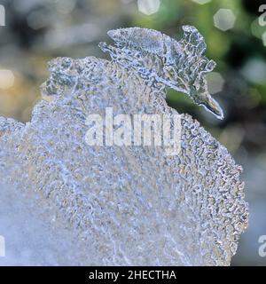 France, Nature sometimes adopts very curious forms called Pareidolie, an ice swan Stock Photo
