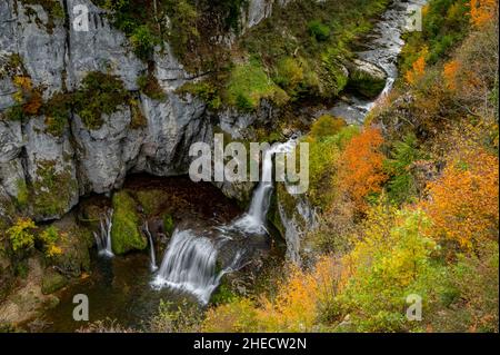 France, Jura, regional nature park, le Vaudioux, la cascade de la Billaude or saut Claude Roy on the Lemme river, tributary of the Saine