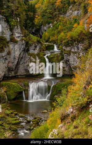 France, Jura, regional nature park, le Vaudioux, la cascade de la Billaude or saut Claude Roy on the Lemme river, tributary of the Saine