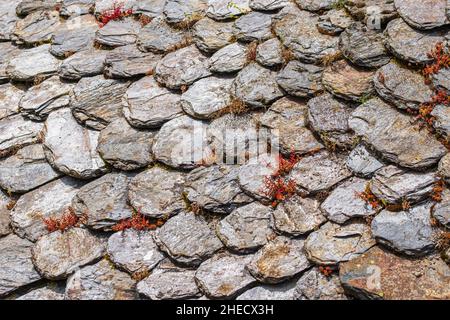 France, Lozere, Ispagnac, Les Combettes hamlet, typical slate roof Stock Photo