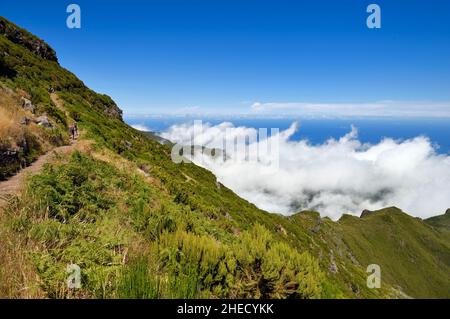 Portugal, Madeira Island, Vereda do Areeiro hike between Pico Ruivo (1862m) and Pico Arieiro (1817m), hikers on the trail that climbs from Achada do Teixeira Stock Photo