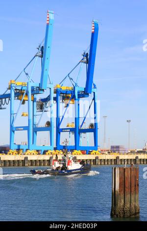 Belgium, West Flanders, Bruges, Zeebrugge, seaport, tug in front of two cranes (handling gantries) Stock Photo