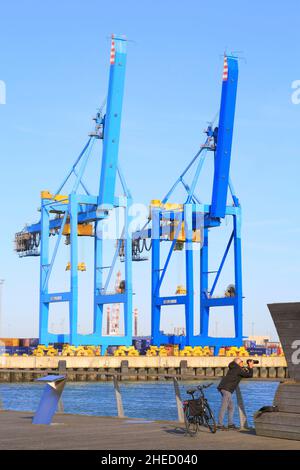 Belgium, West Flanders, Bruges, Zeebrugge, seaport, photographer in action in front of cranes (handling gantries) Stock Photo