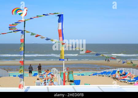 Belgium, West Flanders, De Haan, beach by the North Sea, deckchairs for rent Stock Photo