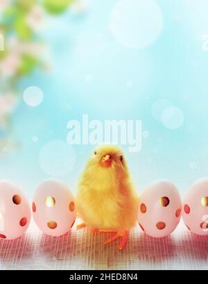 Easter composition with Colorful Easter eggs, chicks on blue blooming background. Easter concept. Stock Photo