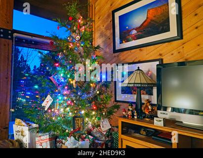 Portrait of a fully decorated Christmas tree sitting in a residential living room in Bend, Oregon. The tree is an incense cedar. Stock Photo