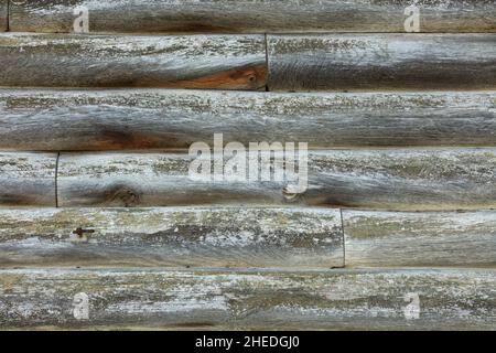 Texture of a wall made of weathered old gray logs overgrown with moss with cracks, spots and scratches of an old wooden house. Stock Photo