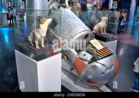 Taxidermy form of a dogs in Museum of Cosmonautics - Belka and Strelka - first higher living organisms to survive in outer space aboard Korabl-Sputnik Stock Photo