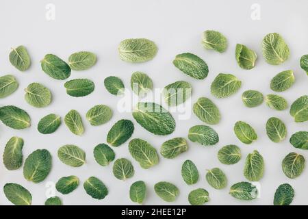 Pattern made of fresh green light leaves on a seamless white background. Flat lay natural idea. Stock Photo
