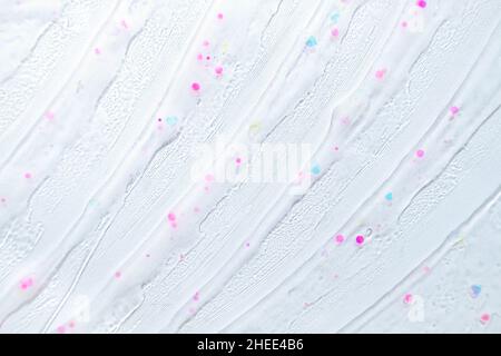 Abstract rainbow colored glitter particles. Macro Stock Photo