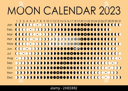 2023 Moon calendar. Astrological calendar design. planner. Place for stickers. Month cycle planner mockup. Isolated black and white vector Stock Vector