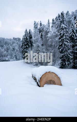 A snow-covered log that lies in a winter landscape. White meadow with snow-covered forest. Stock Photo