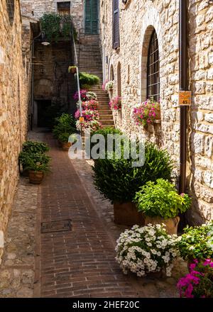 A narrow street in Spello, a typical town located in Umbria region, Italy Stock Photo