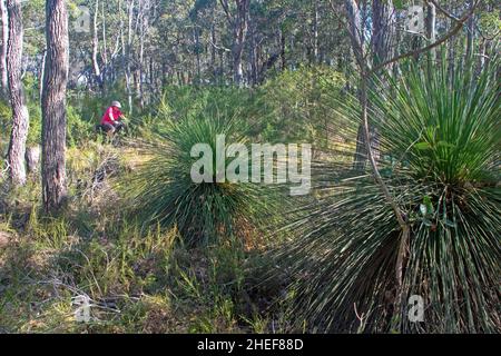 Cycling on the Wadandi Track Stock Photo