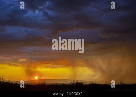 Monsoon rain at sunset Stock Photo