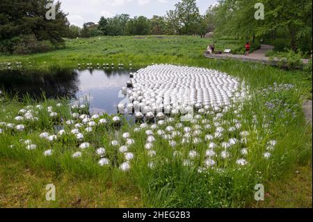 New York, NY, USA. May 23, 2021. View of 'Narcissus Garden', from  Japanese artist Yayoi Kusama's “Cosmic Nature'' exhibit at the NY Botanical Garden. Stock Photo