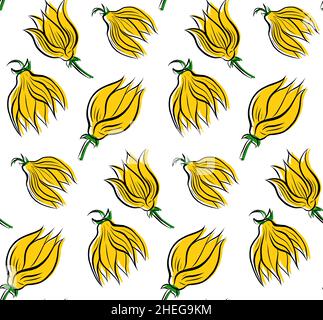 Vector seamless pattern with sketch bud of tropical flowers ylang ylang on white background. Wallpaper with drawing natural floral objects Stock Vector