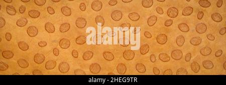 Bright orange colored Dotted Nepalese Lokta Paper features an embossed polka dot pattern which is then sun-washed on paper handmade in Nepal, abstract Stock Photo
