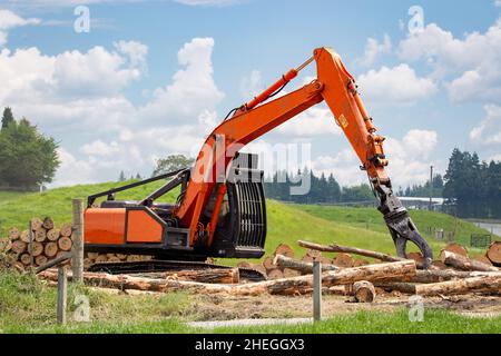 A swing loader stacking cut pine logs at a logging site removing a belt of shelter trees. Tree removal, New Zealand Stock Photo