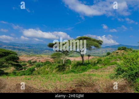 Panoramic View to the Green Trees and Mountains under Cloudy Blue Sky of the Omo River Valley, Ethiopia Stock Photo
