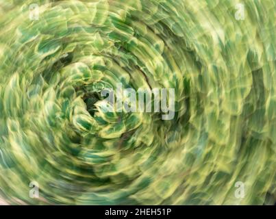 Abstract photo - intentional camera movement (ICM ) technique to create a dreamy, moody artistic background photo of blurry subjects - lines Stock Photo