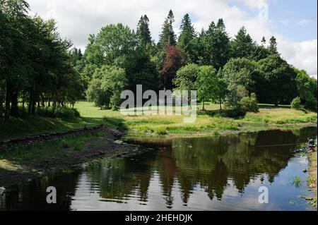 Louth Oughter in Killykeen Forest Park on summer time, Ireland Stock Photo