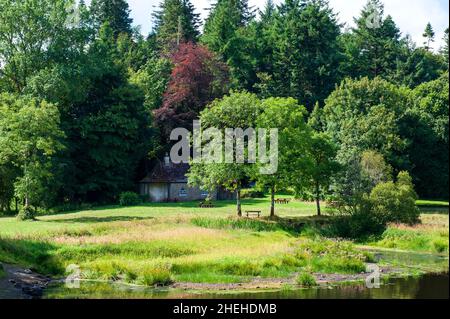 Louth Oughter in Killykeen Forest Park on summer time, Ireland Stock Photo