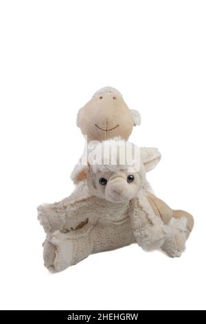 Soft toys sheep on white background Stock Photo