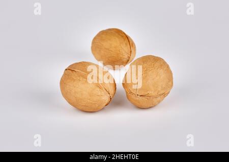 Three walnuts on a gray background in the center Stock Photo