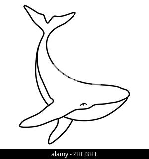 Humpback whale minimalist simple outline vector logo illustration. Isolated contour whale drawing isolated on white background Stock Vector