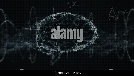 Image of mathematical equations over digital model of human brain on ...