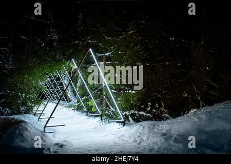a beautiful glowing corridor made of triangles through a pine forest. Beautiful corridor for a photo Stock Photo