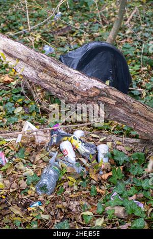 Black bin bags, cans and plastic illegally dumped in woods. Fly tip in the Dollis Valley Greenwalk protected area, Barnet, London, UK Stock Photo