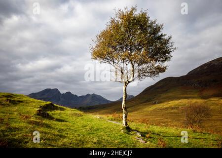 Autumn trees, near Torrin, Isle of Skye, Scotland. Stock Photo