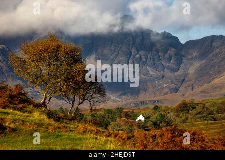 Autumn trees, near Torrin, Isle of Skye, Scotland. Stock Photo