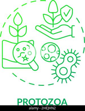 Protozoa green gradient concept icon Stock Vector