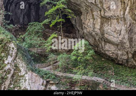 Hiking path near Skocjanske jame (Skocjan Caves), Slovenia Stock Photo