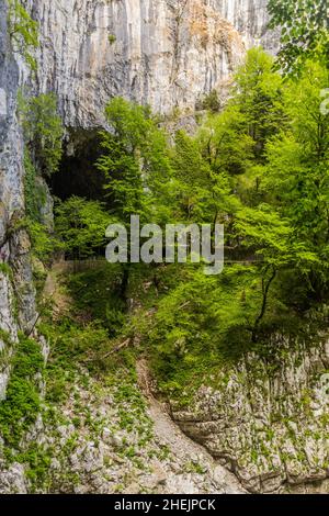 Deep gorge near Skocjanske jame (Skocjan Caves), Slovenia Stock Photo
