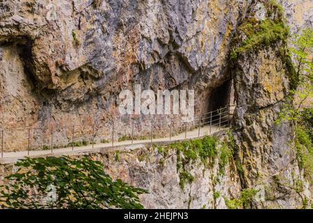 Hiking path near Skocjanske jame (Skocjan Caves), Slovenia Stock Photo