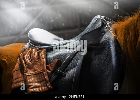 Cowboy gloves and a saddle made of leather on the horse. Horseback equipments for horse riding. Brown Stock Photo