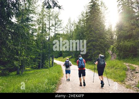 Small group of hikers in a forest in the Dolomite Alps Stock Photo